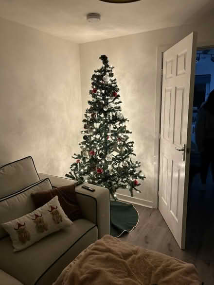Photo of free 6ft Christmas tree (G82 Dumbarton) #4