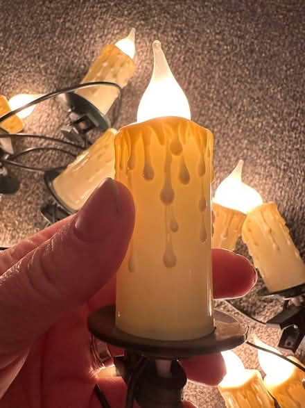 Photo of free Christmas lights (Rochester, ME1) #2
