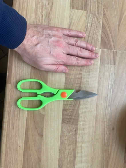 Photo of free Kitchen scissors (Mitcham CR4) #1
