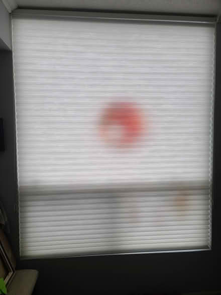 Photo of free Blinds For large windows (Mississauga 403 and Eglinton) #1