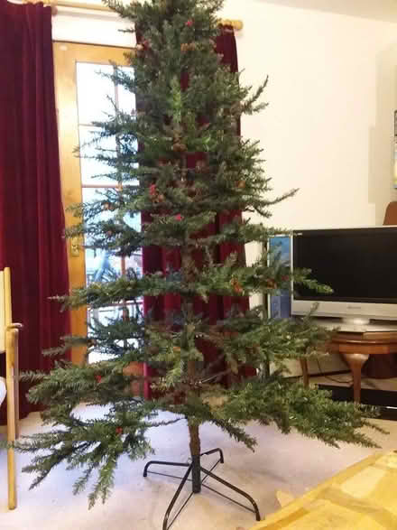 Photo of free Artificial Christmas Tree (Currie EH14) #2