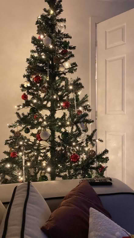Photo of free 6ft Christmas tree (G82 Dumbarton) #3