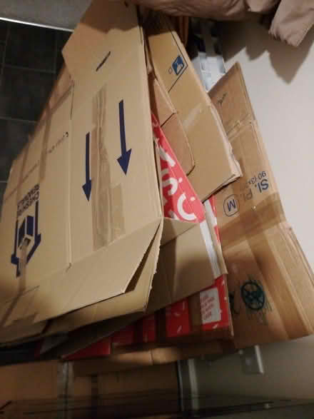 Photo of free Boxes (Bishop's Stortford CM23) #1