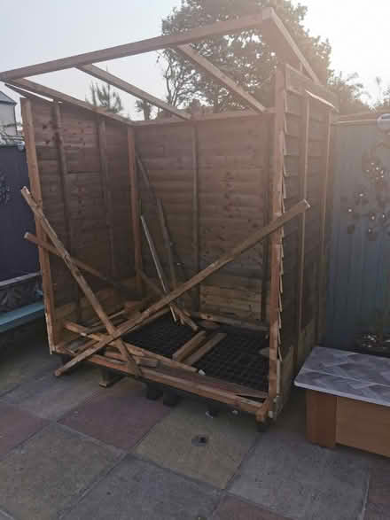 Photo of Plastic Pallet (FY5 Cleveleys) #1