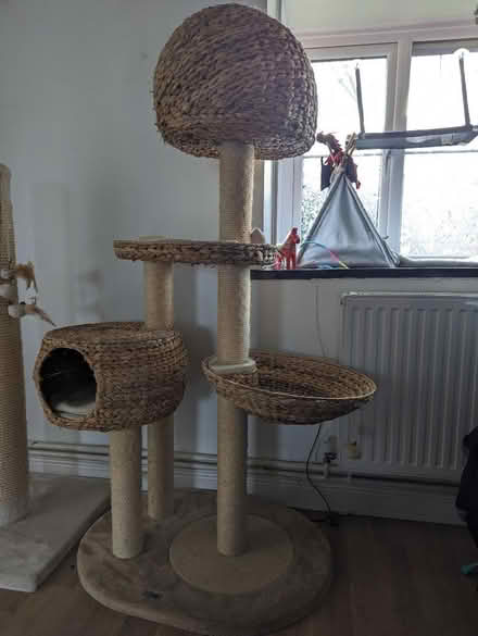 Photo of free Used cat tree, 158cm tall (New Barnet EN4) #1