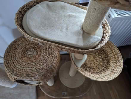 Photo of free Used cat tree, 158cm tall (New Barnet EN4) #3