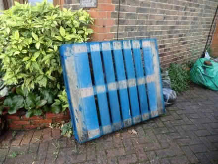 Photo of free Wooden Pallet (Edenbridge TN8) #1
