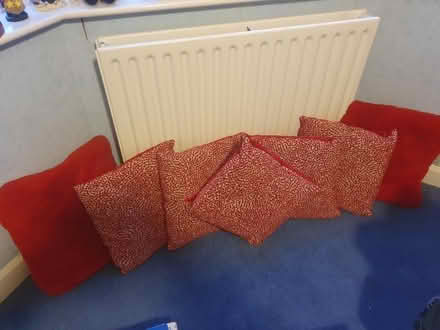 Photo of free Red cushions x7 (Caversham Heights RG4) #1