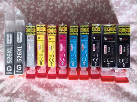 Photo of free Canon-compatible inkjet cartridges (Lower Wick WR2) #1