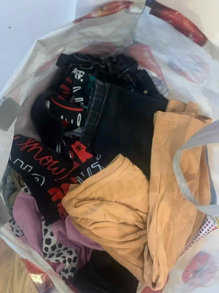 Photo of free Age 2-3 (CR0) #1