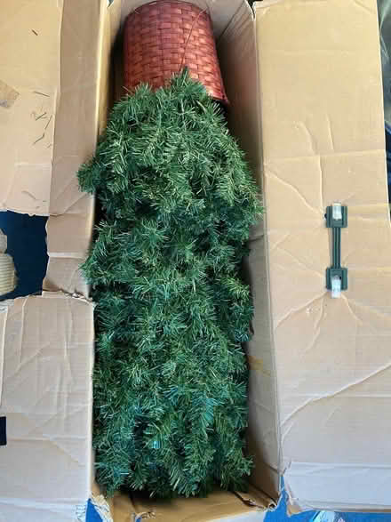 Photo of free Christmas Tree 5/6 feet (Bexley DA5) #1