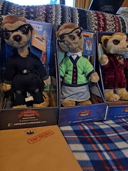 Photo of free 6 meerkats (melksham east SN12) #2