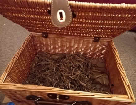 Photo of free Basket for hamper (Kirkliston EH29) #1