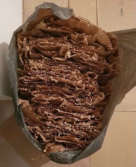 Photo of free Packing Paper (BN3) #1