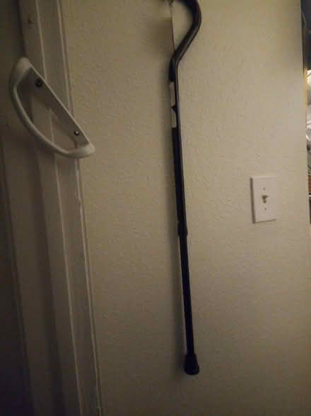 Photo of free Cane (North of Montgomery ne) #1