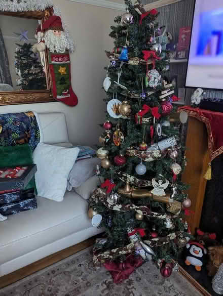 Photo of free christmas tree (Culcheth WA3) #1