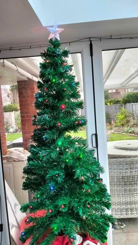 Photo of free 6ft Christmas tree (West Pinchbeck) #1