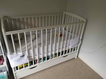 Photo of free Cot bed and mattress (SL6 maidenhead) #2