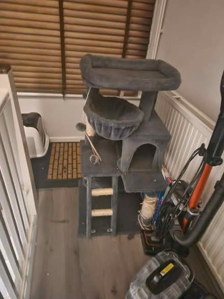 Photo of free Cat tree scratch post for cats/ kittens (E8) #2
