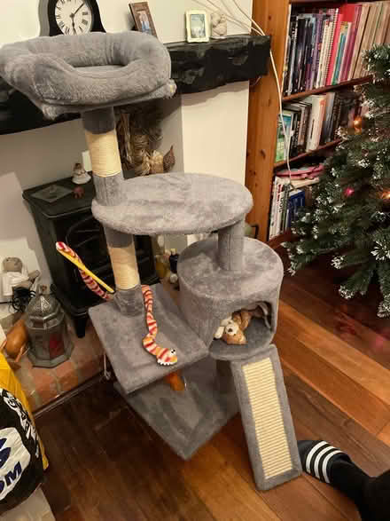 Photo of free Cat pole skratcher (Barnet) #1