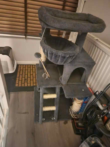 Photo of free Cat tree scratch post for cats/ kittens (E8) #1