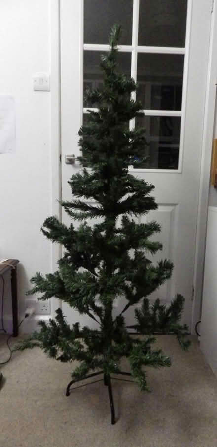 Photo of free Christmas Tree (Bowerham LA1) #1