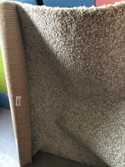 Photo of free Rug (Stodday LA2) #2
