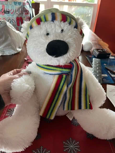 Photo of free Christmas Bear (West Parker - Colt/Preston) #1