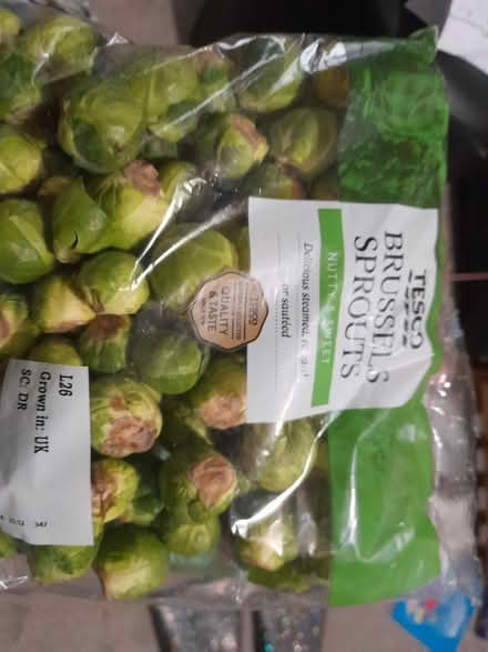Photo of free Bag of sprouts (Fallowfield M14) #1