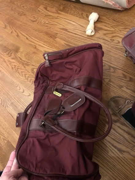 Photo of free Carry-on bags and CM bag (Springield , PA) #1