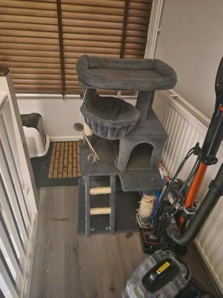 Photo of free Cat tree scratch post for cats/ kittens (E8) #3