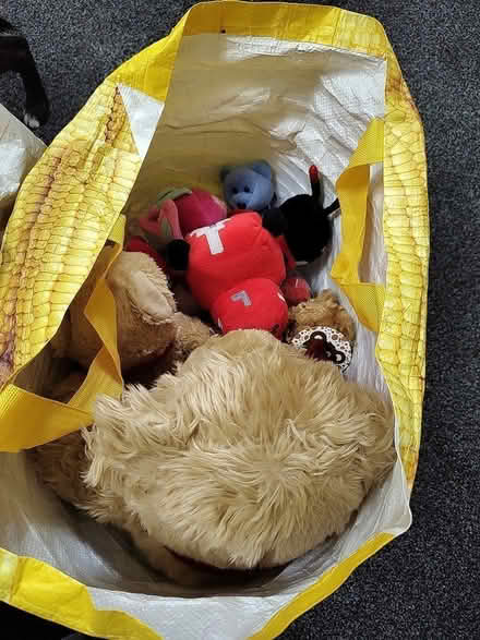 Photo of free soft toys (Kendal) #1
