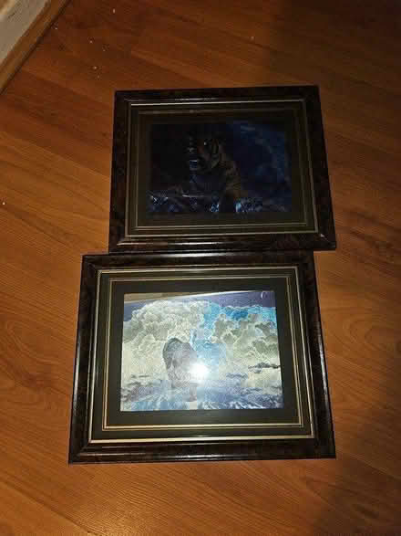 Photo of free 2 large cat pictures (SE1) #2