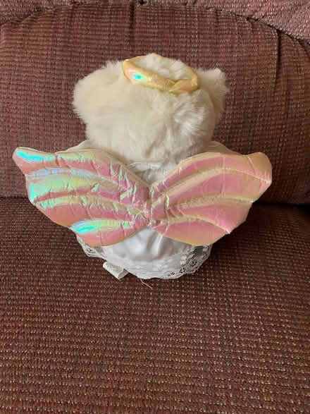 Photo of free Angel Bear (Bolingbrook - close to BRAC) #2
