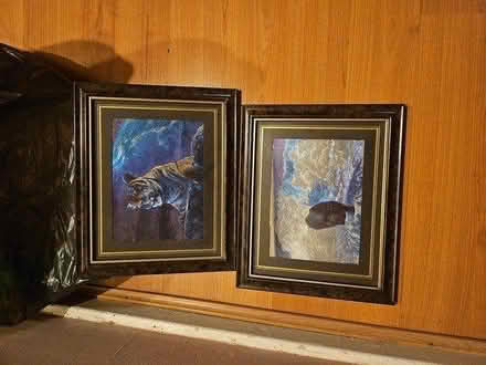 Photo of free 2 large cat pictures (SE1) #3