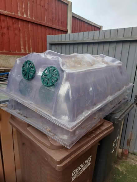 Photo of free Large garden cloches (Carlton) #1