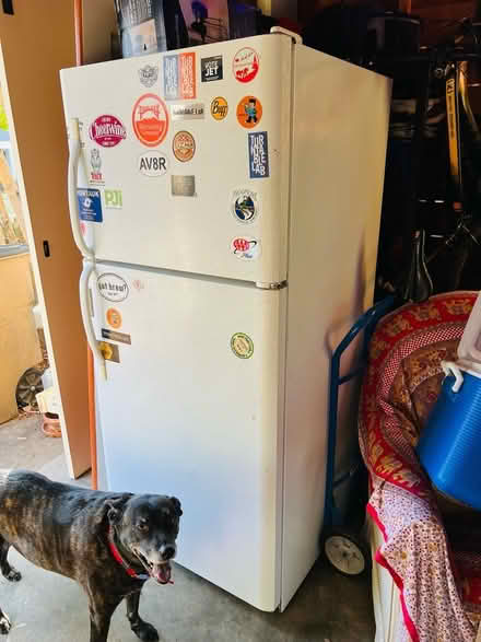 Photo of free Fridge (Lindley Park) #1