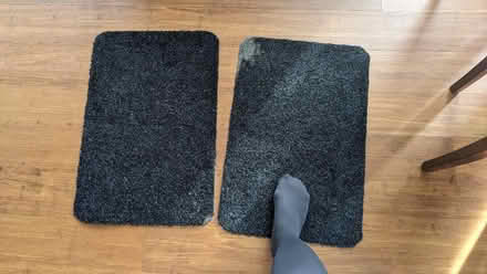 Photo of free Door mats (AL1 st Albans station) #1