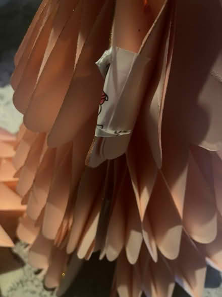 Photo of free 2 Pink Paper Christmas Trees (Granton EH5) #1