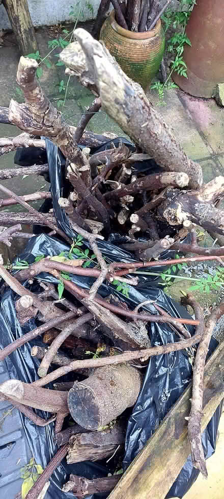 Photo of free wood for woodburner (Chatham ME4) #1