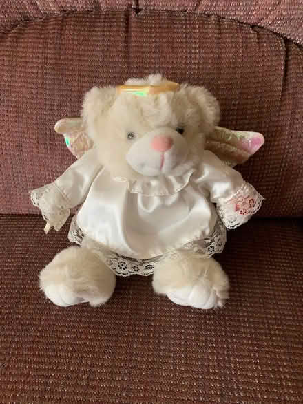 Photo of free Angel Bear (Bolingbrook - close to BRAC) #1