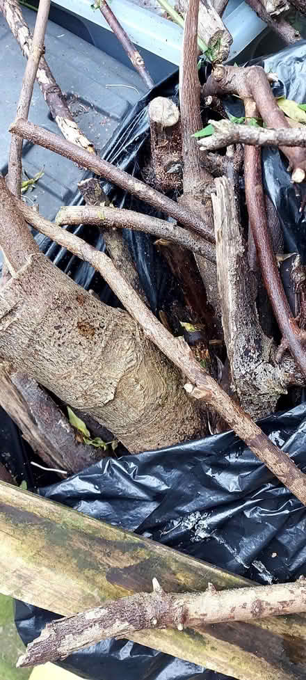 Photo of free wood for woodburner (Chatham ME4) #2