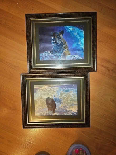 Photo of free 2 large cat pictures (SE1) #1
