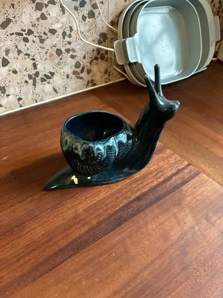 Photo of free Snail/ slug flower pot (SE17) #1