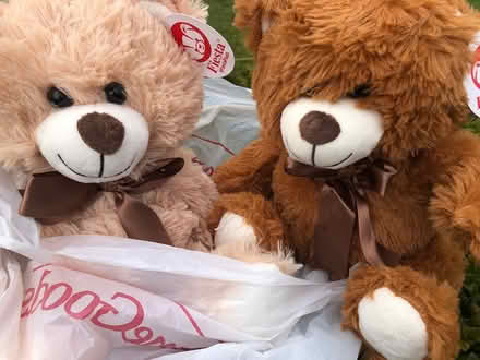 Photo of free Teddy Bears (Aurora (Aurora (N Seattle/ Shoreline)) #1