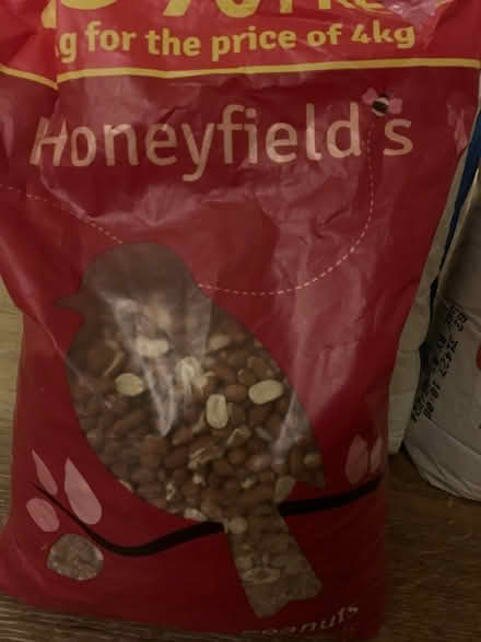 Photo of free Peanuts for birds (Princes Risborough) #1