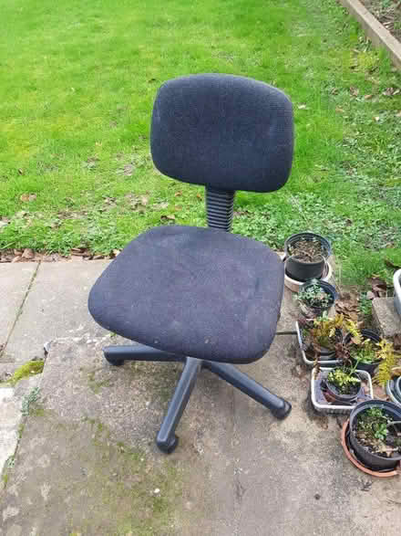 Photo of free Office chair (Allington) #1