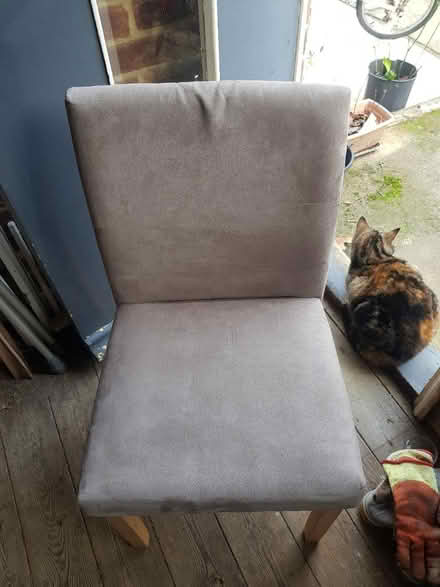 Photo of free Chairs (Allington) #1