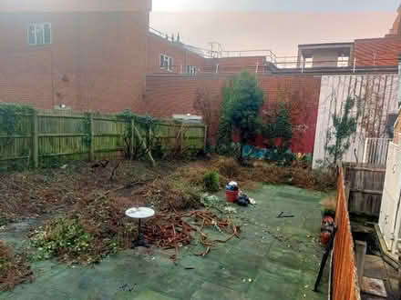 Photo of free wood and twigs (Boscombe BH1) #3
