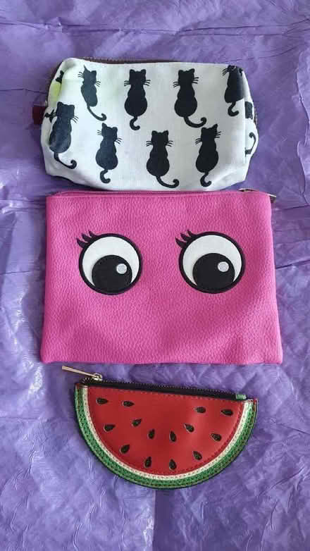 Photo of free Makeup bag, pencil case, purse (St Helens TN35) #1